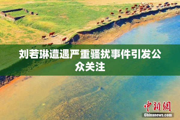 刘若琳遭遇严重骚扰事件引发公众关注
