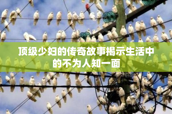 顶级少妇的传奇故事揭示生活中的不为人知一面