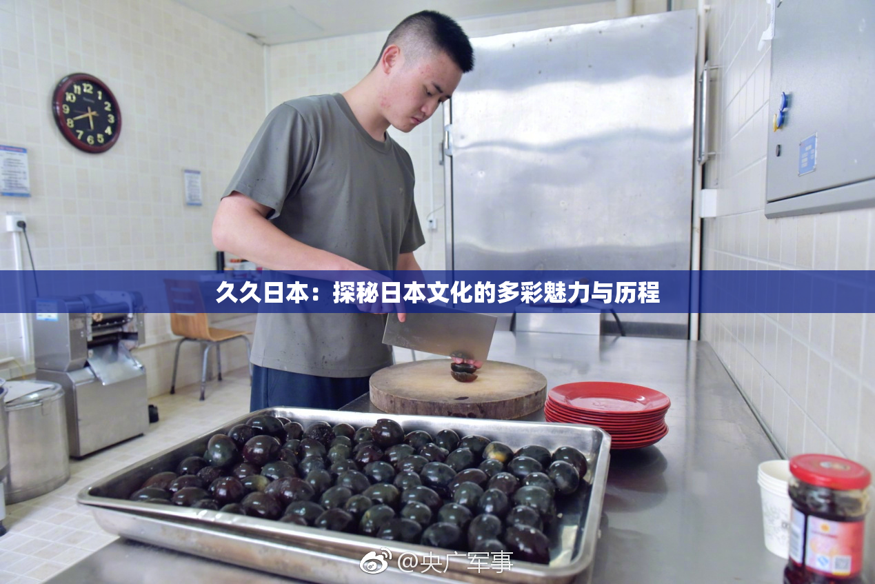 久久日本：探秘日本文化的多彩魅力与历程