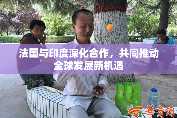 法国与印度深化合作，共同推动全球发展新机遇