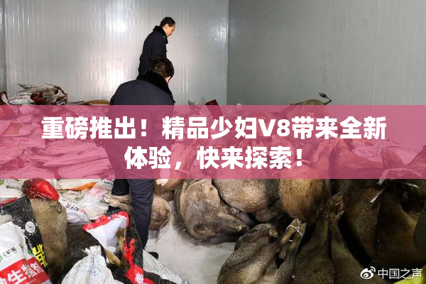 重磅推出！精品少妇V8带来全新体验，快来探索！