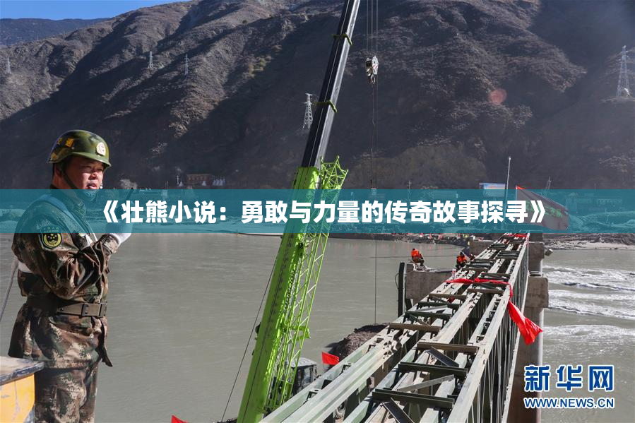 《壮熊小说：勇敢与力量的传奇故事探寻》