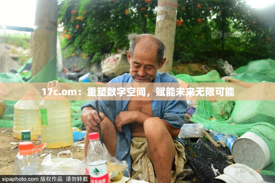 17c.om：重塑数字空间，赋能未来无限可能