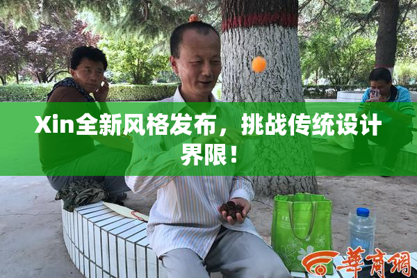 Xin全新风格发布，挑战传统设计界限！