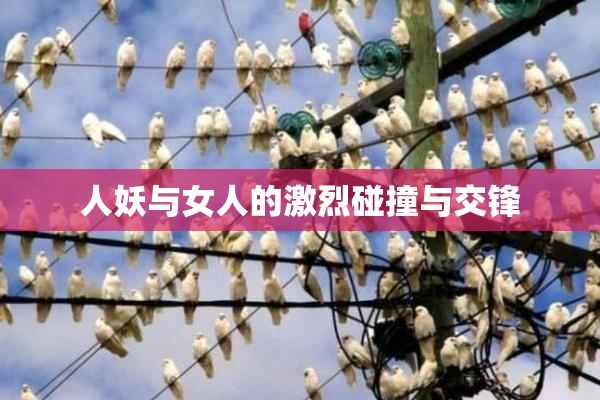 人妖与女人的激烈碰撞与交锋