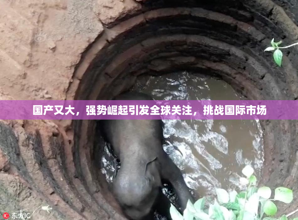 国产又大，强势崛起引发全球关注，挑战国际市场