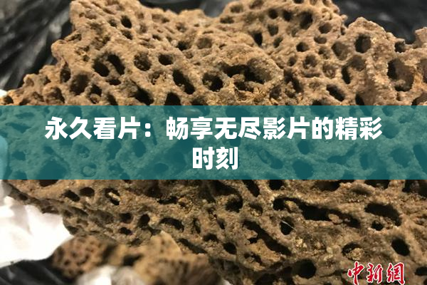 永久看片：畅享无尽影片的精彩时刻