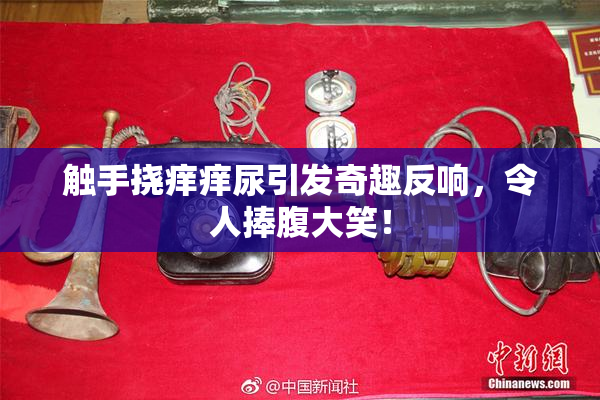 触手挠痒痒尿引发奇趣反响，令人捧腹大笑！