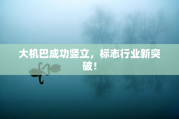 大机巴成功竖立，标志行业新突破！