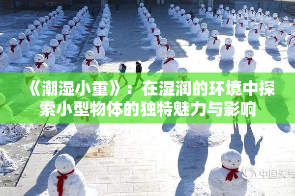 《潮湿小重》：在湿润的环境中探索小型物体的独特魅力与影响