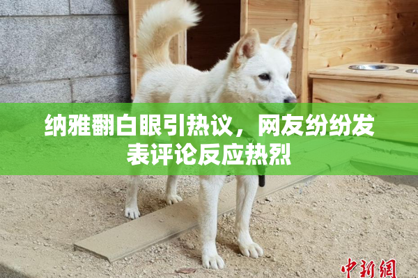 纳雅翻白眼引热议，网友纷纷发表评论反应热烈