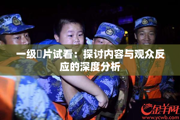 一级婬片试看：探讨内容与观众反应的深度分析
