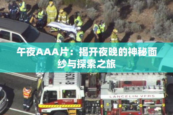 午夜AAA片：揭开夜晚的神秘面纱与探索之旅