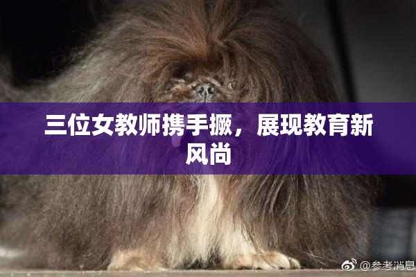 三位女教师携手撅，展现教育新风尚