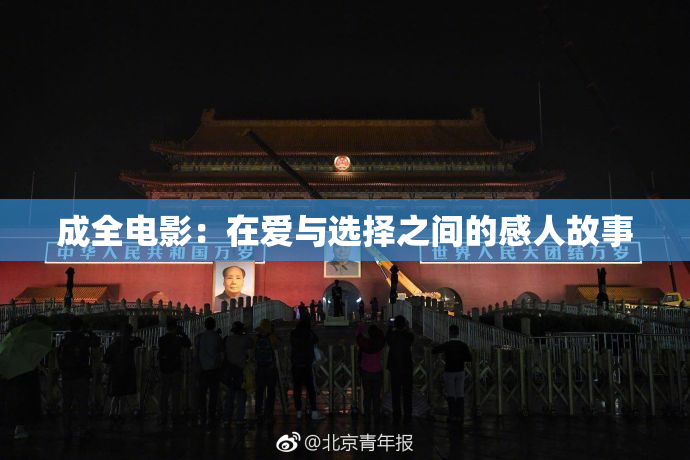 成全电影：在爱与选择之间的感人故事