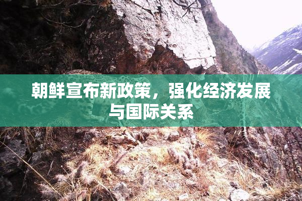 朝鲜宣布新政策，强化经济发展与国际关系