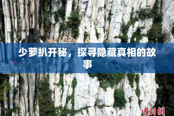少萝扒开秘，探寻隐藏真相的故事