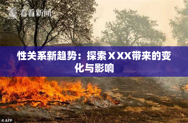 性关系新趋势：探索ⅩXX带来的变化与影响