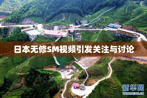 日本无修SM视频引发关注与讨论