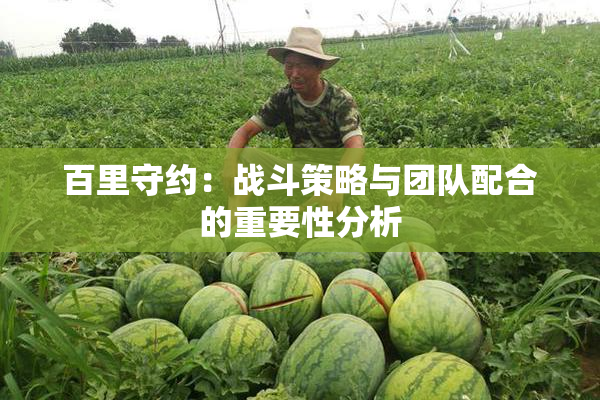百里守约：战斗策略与团队配合的重要性分析