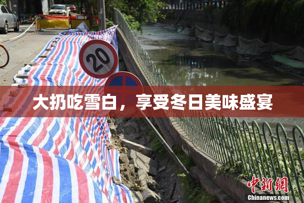 大扔吃雪白，享受冬日美味盛宴