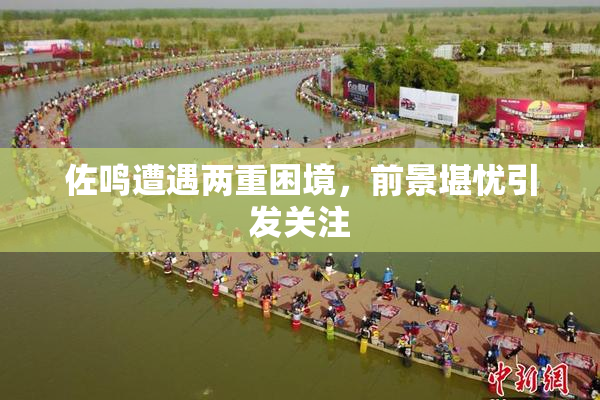佐鸣遭遇两重困境，前景堪忧引发关注