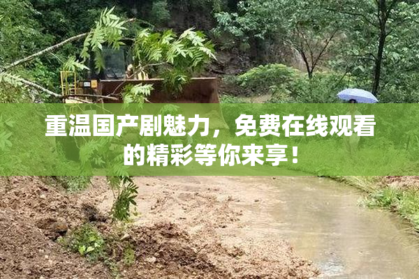 重温国产剧魅力，免费在线观看的精彩等你来享！