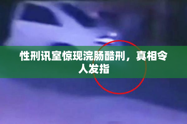 性刑讯室惊现浣肠酷刑，真相令人发指