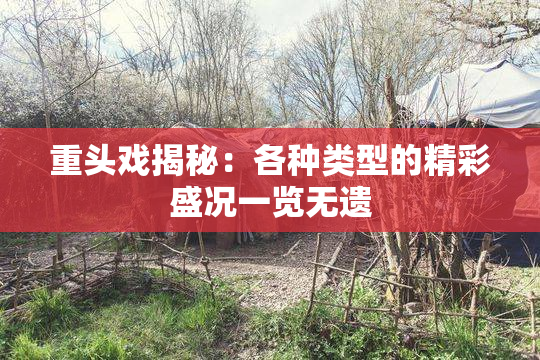 重头戏揭秘：各种类型的精彩盛况一览无遗