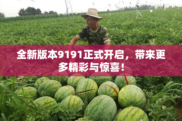 全新版本9191正式开启，带来更多精彩与惊喜！