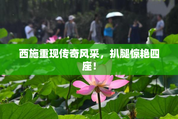 西施重现传奇风采，扒腿惊艳四座！