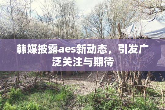 韩媒披露aes新动态，引发广泛关注与期待