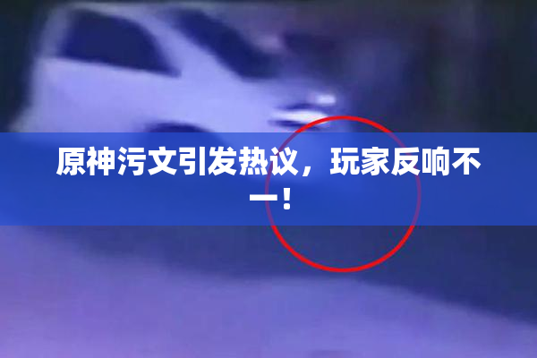 原神污文引发热议，玩家反响不一！