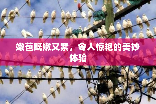 嫩苞既嫩又紧，令人惊艳的美妙体验
