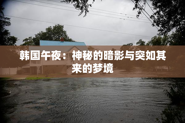 韩国午夜：神秘的暗影与突如其来的梦境