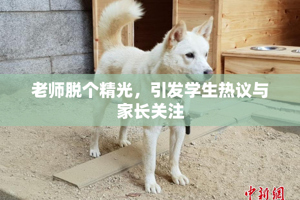 老师脱个精光，引发学生热议与家长关注