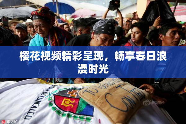 樱花视频精彩呈现，畅享春日浪漫时光