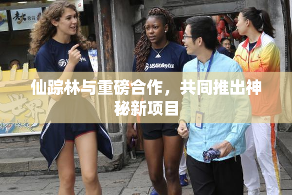 仙踪林与重磅合作，共同推出神秘新项目
