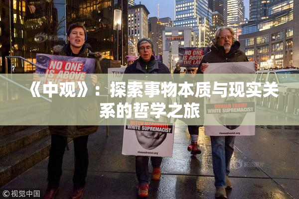 《中观》：探索事物本质与现实关系的哲学之旅