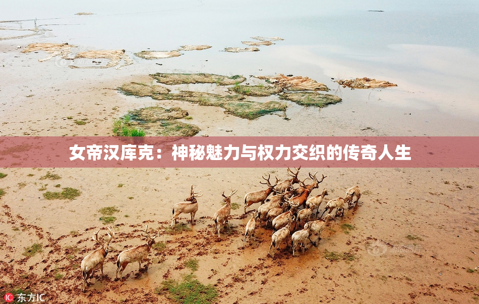 女帝汉库克：神秘魅力与权力交织的传奇人生