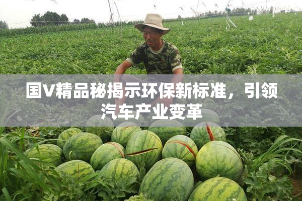 国V精品秘揭示环保新标准，引领汽车产业变革