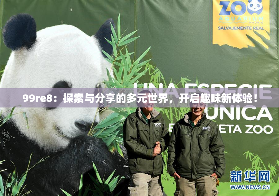 99re8：探索与分享的多元世界，开启趣味新体验！