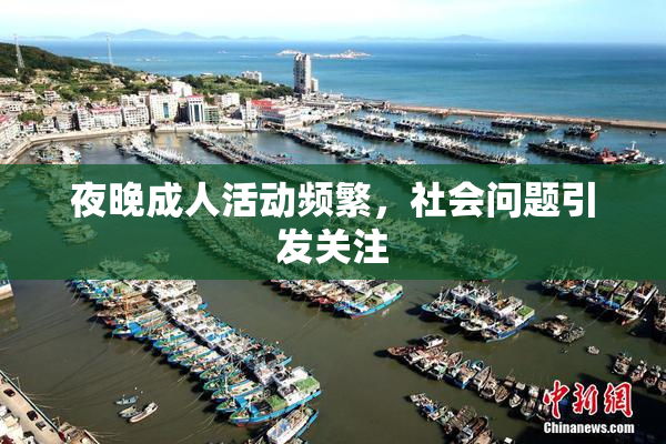 夜晚成人活动频繁，社会问题引发关注