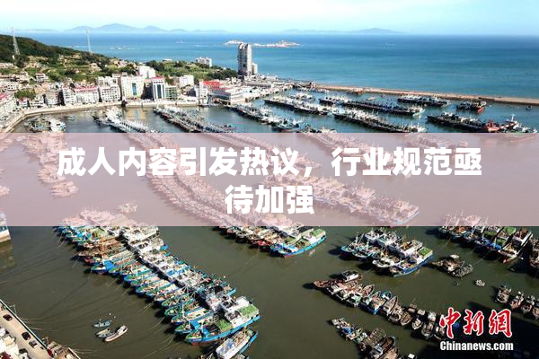 成人内容引发热议，行业规范亟待加强