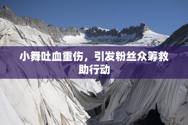 小舞吐血重伤，引发粉丝众筹救助行动