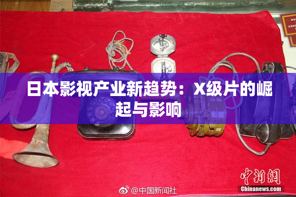 日本影视产业新趋势：X级片的崛起与影响
