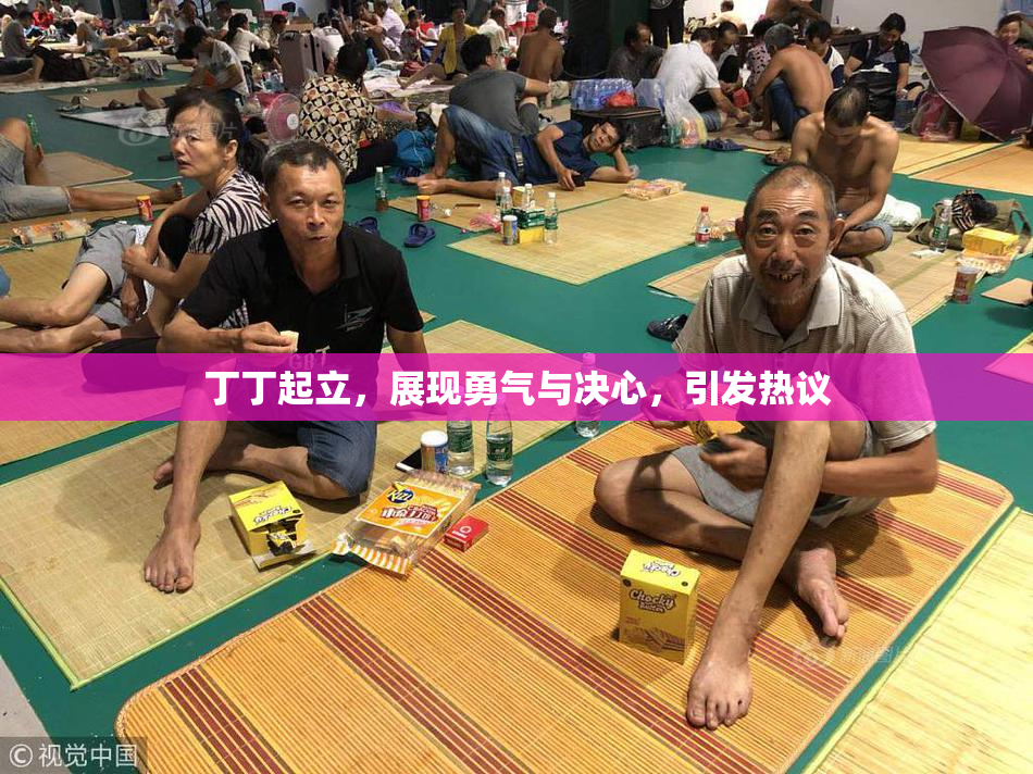 丁丁起立，展现勇气与决心，引发热议