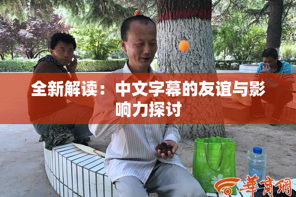 全新解读：中文字幕的友谊与影响力探讨