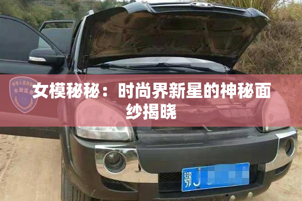 女模秘秘：时尚界新星的神秘面纱揭晓