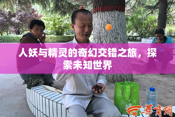 人妖与精灵的奇幻交错之旅，探索未知世界